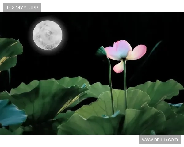 勾魂夜荷花：月下倾情，一场关于美的极致诱惑