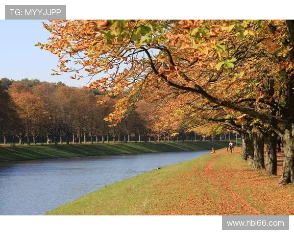 法外情：当情感的河流越过理性的堤坝